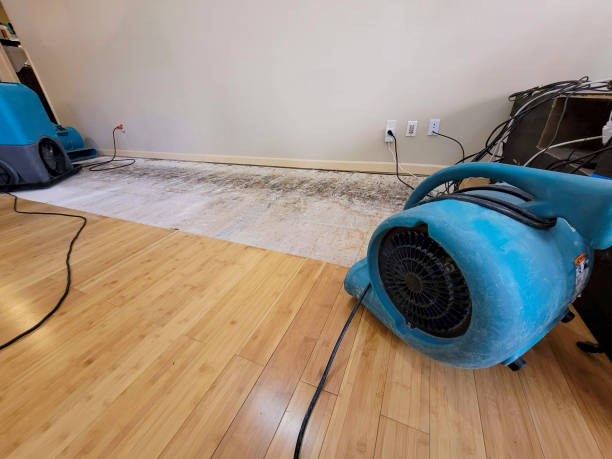 Professional Sewage Cleanup technician working in Pendleton, IN